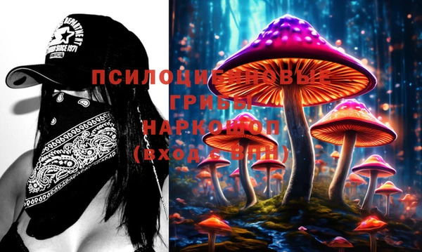 крисы Краснослободск