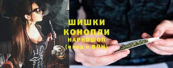 крисы Краснослободск