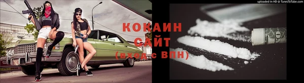 крисы Краснослободск