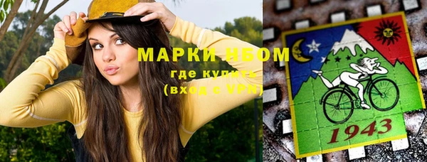 крисы Краснослободск