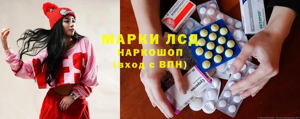 крисы Краснослободск