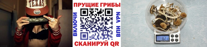 даркнет сайт Кызыл Псилоцибиновые грибы Cubensis